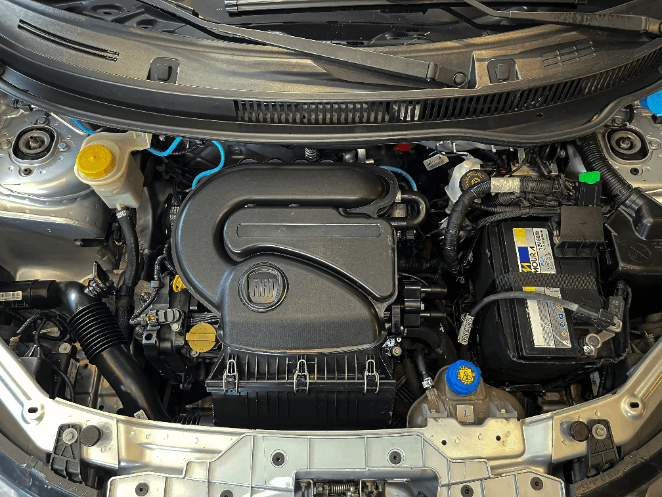 Lavagem de Motor - Depois